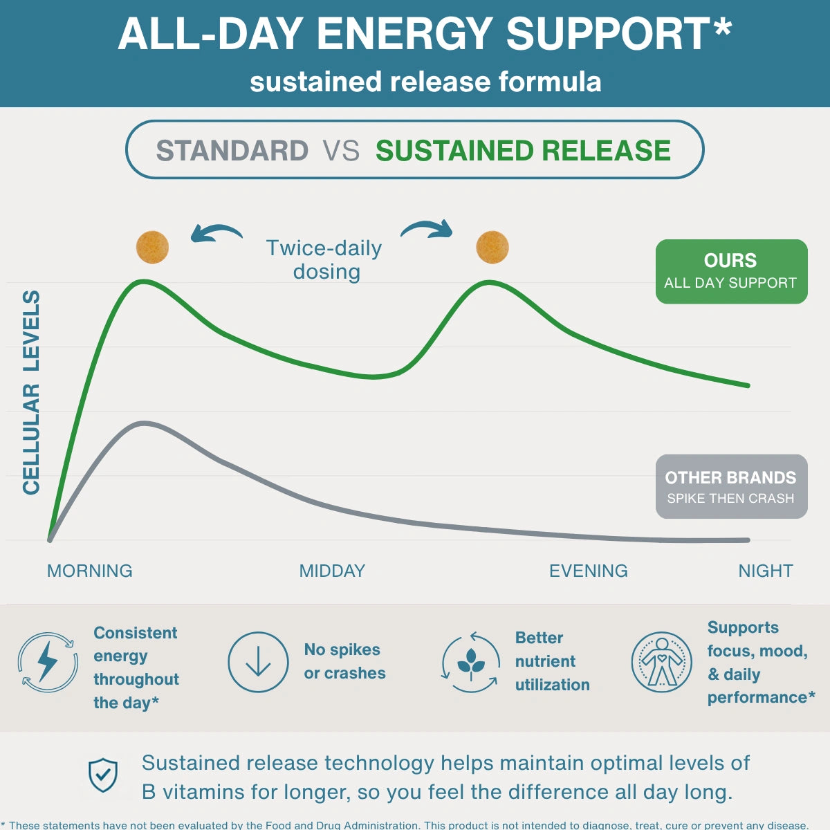 An infographic comparing a standard B vitamin regimen with the 'All-Day Energy Support' sustained release formula. The graphic features a green curve representing sustained energy levels with twice-daily dosing, contrasted against a gray curve for other brands that spike and crash.