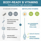 An infographic comparing standard vitamins and methylated B vitamins. The left side, labeled 'Standard Vitamins,' shows a capsule icon and lists folic acid and cyanocobalamin, with text noting multiple enzyme conversions, reliance on the body's conversion, and decreased effectiveness.