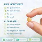 A close-up of a hand holding a small round beige supplement tablet against a soft light background, with text listing pure ingredients and clean label claims such as no gluten, wheat, dairy, lactose, soy, yeast, silicon dioxide, maltodextrin, magnesium stearate, and titanium dioxide. GMP, vegan approved, and non-GMO badges appear along the bottom.