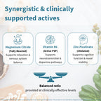 Infographic detailing synergistic and clinically supported actives with images of magnesium citrate, vitamin B6, and zinc picolinate.