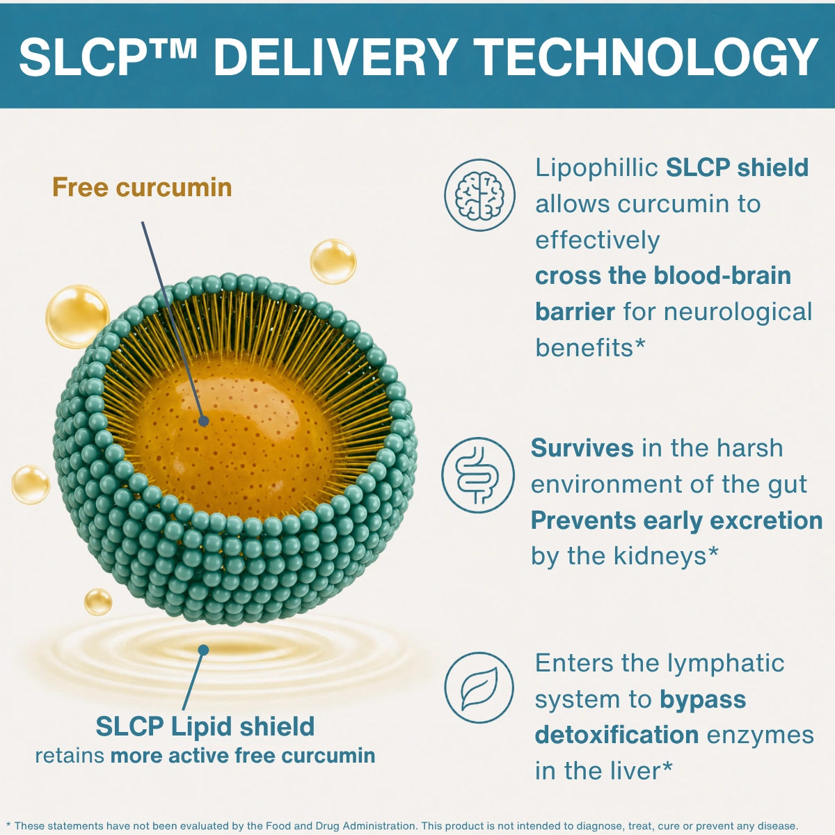 An infographic titled 'SLCP™ DELIVERY TECHNOLOGY' showing a 3D illustration of a curcumin delivery nanoparticle with labeled text and icons explaining benefits: crossing the blood-brain barrier, surviving the gut, and entering the lymphatic system.