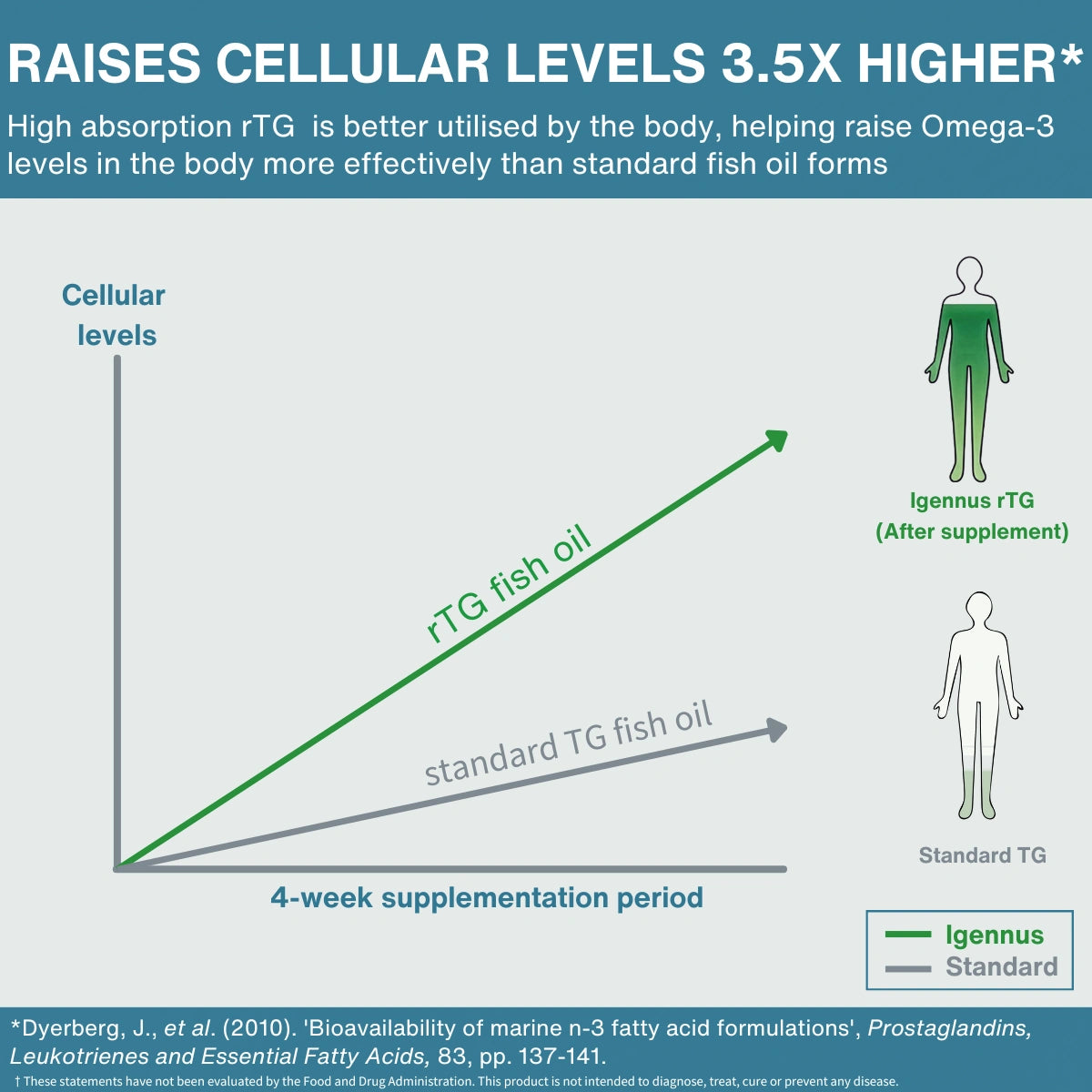 An infographic comparing rTG fish oil and standard TG fish oil supplementation. It features a line graph showing cellular levels rising more sharply with rTG fish oil over a 4-week period, alongside body silhouette diagrams labeled 'Igennus rTG (After supplement)' and 'Standard TG'.