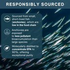 An informational graphic with the heading 'RESPONSIBLY SOURCED' over a background photo of a school of anchovies. Three dark translucent text boxes list benefits: sourcing from small short-lived fish low in the food chain, anchovies exposed to less pollutant bioaccumulation than large species, and molecularly distilled to concentrate EPA to 90% with exceptional purity.