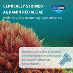 Advertisement for Aquamin Red Algae with underwater scene and Aquamin logo.