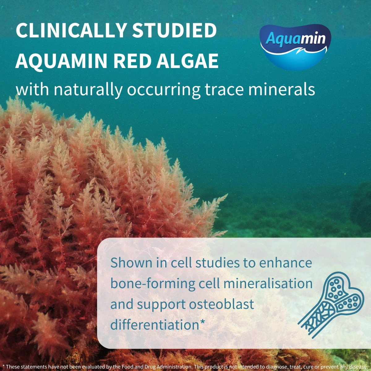 Advertisement for Aquamin Red Algae with underwater scene and Aquamin logo.
