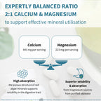 Infographic about calcium and magnesium ratio with text and graphics on a light background.