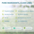 A clean informational graphic with the headline 'PURE INGREDIENTS, CLEAN LABEL' above a list of excluded ingredients: no gluten/wheat, no artificial colors or flavors, no dairy/lactose, no soy, no yeast, and no maltodextrin. Three certification-style badges at the bottom read GMP-manufactured in the UK, Vegan approved, and Non-GMO tested, on a soft blurred green background.