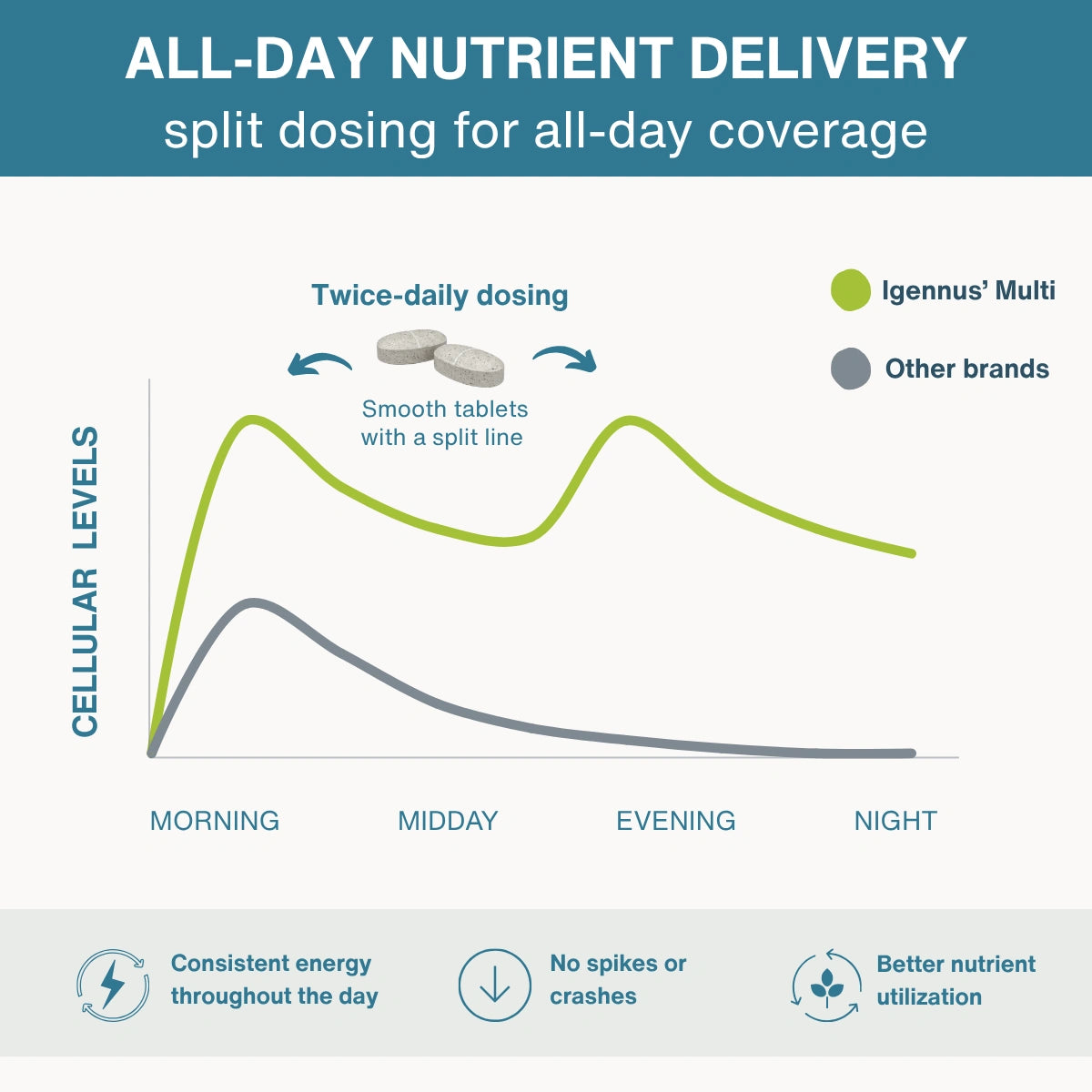 An infographic comparing the all-day nutrient delivery profile of Igennus' Multi split dosing versus other brands. The chart shows a green curve representing Igennus' Multi with a peak in the morning and evening, and a gray curve for other brands peaking in the midday.