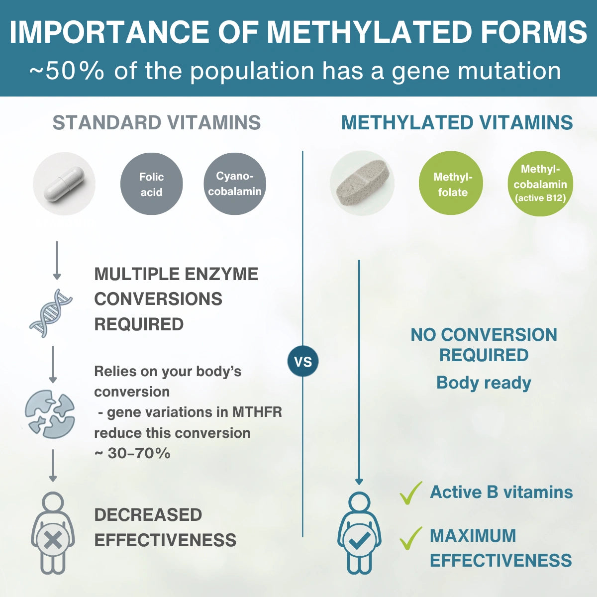 An infographic titled 'IMPORTANCE OF METHYLATED FORMS' compares standard vitamins with methylated vitamins, using icons, text, and pill illustrations on a pale background.