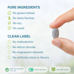 A close-up of a hand holding a small oval supplement tablet against a soft white background, with text listing pure ingredients and clean label claims such as no gluten, wheat, dairy, lactose, soy, yeast, maltodextrin, silicon dioxide, magnesium stearate, and artificial colors or flavors. Certification badges appear along the bottom.