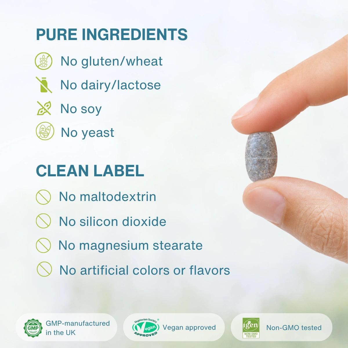 A close-up of a hand holding a small oval supplement tablet against a soft white background, with text listing pure ingredients and clean label claims such as no gluten, wheat, dairy, lactose, soy, yeast, maltodextrin, silicon dioxide, magnesium stearate, and artificial colors or flavors. Certification badges appear along the bottom.