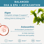 An informational product graphic for a supplement labeled 'BALANCED DHA & EPA + ASTAXANTHIN.' The design uses a white background with teal text and accents, plus illustrative food imagery: green seaweed on the right, a pinkish orange alga sphere on the left, and small heart, brain, and eye icons at the bottom with claim text.
