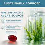 Algae in a jar with text about a sustainably sourced algae source