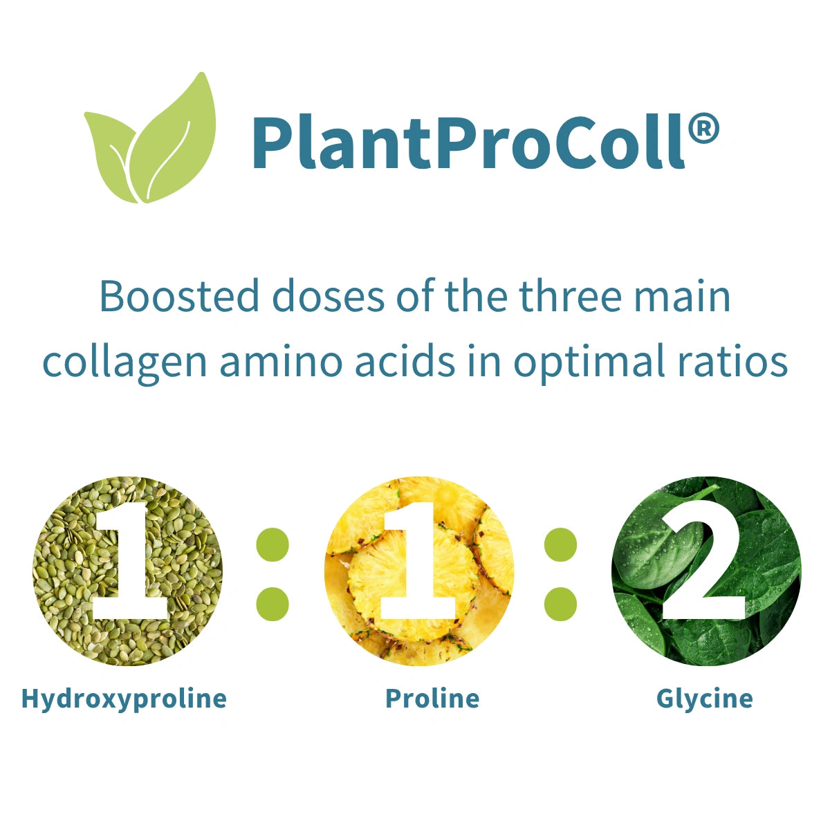 PlantProColl supplement graphic on a white background with the brand name and leaf logo at top, text reading 'Boosted doses of the three main collagen amino acids in optimal ratios,' and three circular ingredient callouts labeled Hydroxyproline, Proline, and Glycine with numbers 1, 1, and 2.