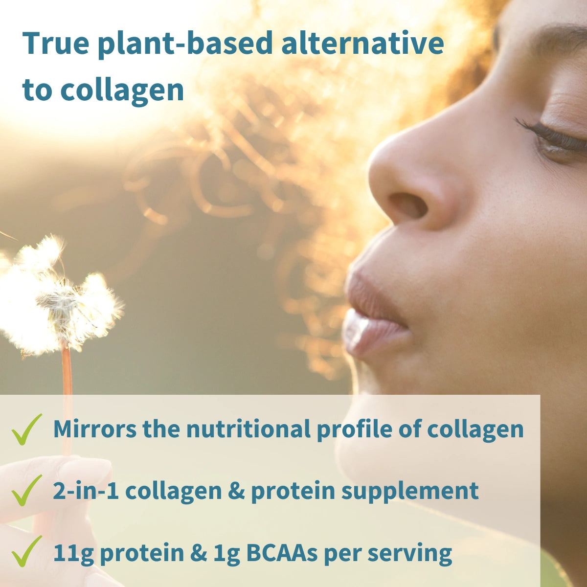 Person holding a dandelion with text about a plant-based collagen and protein supplement.