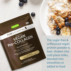 A bag of Inenmus Pure & Essential Vegan Pro-Collagen plant-based protein powder is shown on a light stone surface next to a bowl of oatmeal with banana and blueberries, with a text overlay describing its use.