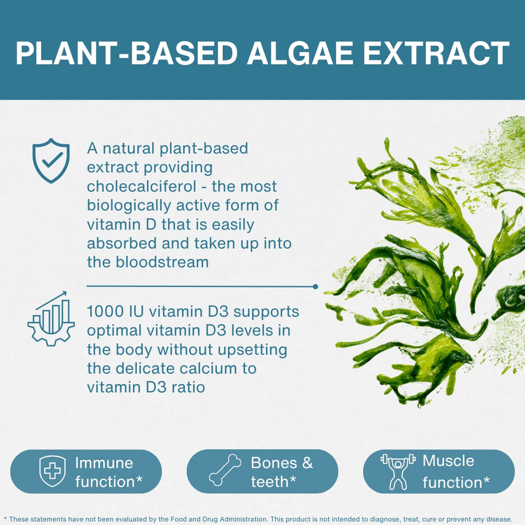 An informational graphic for Plant-Based Algae Extract, featuring a teal header, white background, descriptive text about vitamin D and immune benefits, and a green seaweed illustration on the right.