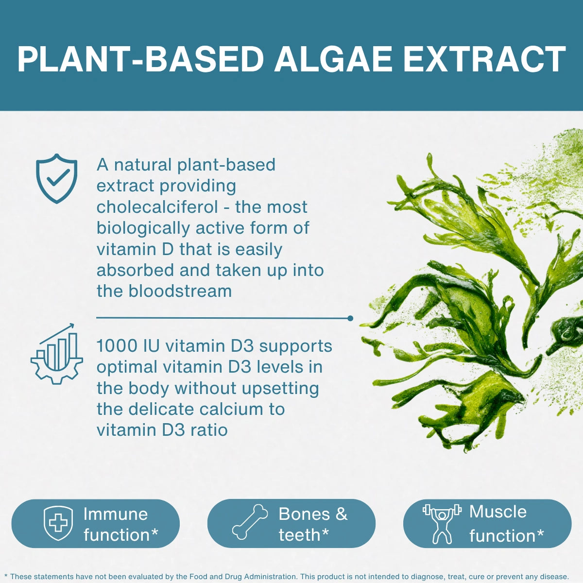 An informational graphic for Plant-Based Algae Extract, featuring a teal header, white background, descriptive text about vitamin D and immune benefits, and a green seaweed illustration on the right.