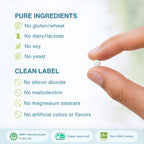 A close-up of a hand holding a single white round supplement tablet against a soft light background, with text listing pure ingredients and clean label claims such as no gluten, wheat, dairy, lactose, soy, yeast, silicon dioxide, maltodextrin, magnesium stearate, and artificial colors or flavors.