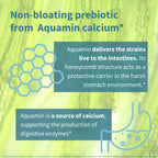 Advertisement for Aquamin calcium with text about non-bloating prebiotic and honeycomb structure.
