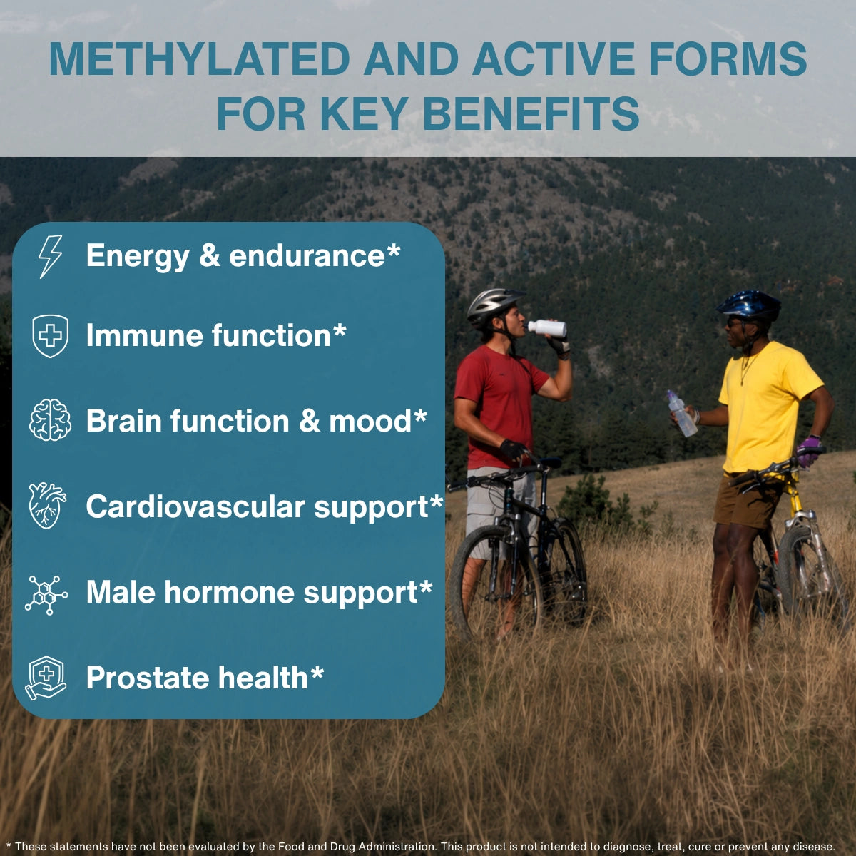 An informational graphic with the headline 'METHYLATED AND ACTIVE FORMS FOR KEY BENEFITS' over a lifestyle photo of two cyclists outdoors in a grassy mountain setting. A blue callout box lists benefits: Energy & endurance, Immune function, Brain function & mood, Cardiovascular support, Male hormone support, and Prostate health.