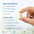A hand holds a beige oval supplement capsule against a clean white background with text listing pure ingredients and clean label claims. Logos at the bottom indicate GMP-manufactured in the UK, Vegan approved, and Non-GMO tested.