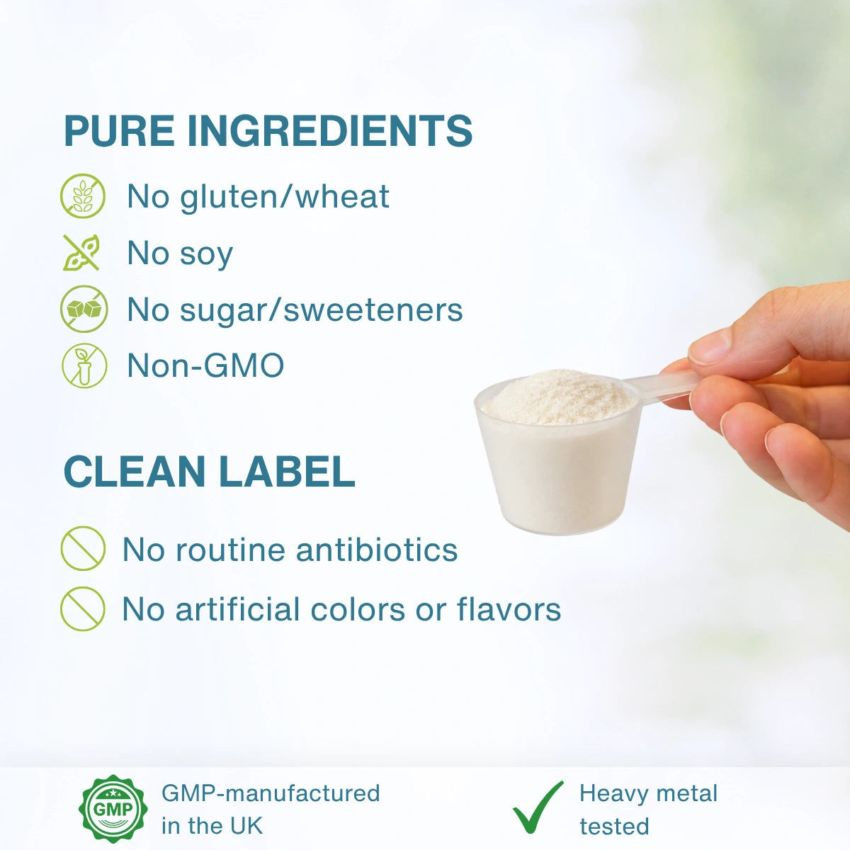 Promotional graphic for a powder supplement showing a hand holding a small scoop filled with white powder. Text highlights pure ingredients: no gluten/wheat, no soy, no sugar/sweeteners, and non-GMO.