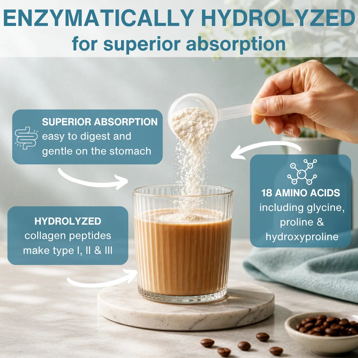 A scoop of white powder is being poured into a glass of coffee on a marble coaster, with marketing text highlighting enzymatic hydrolysis for superior absorption. A hand is visible holding the scoop, and coffee beans sit in a small bowl at the bottom right.