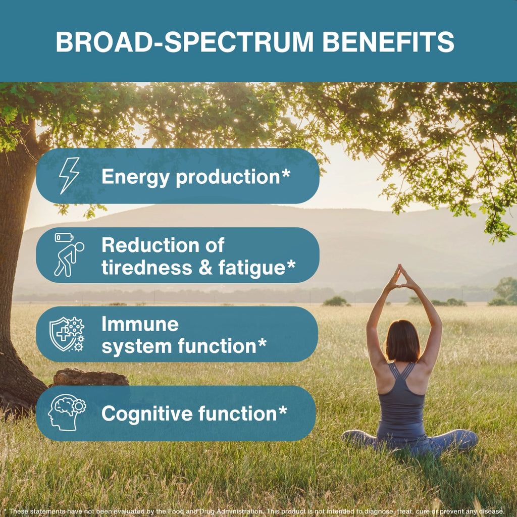 Promotional graphic with the headline 'BROAD-SPECTRUM BENEFITS' over a scenic outdoor photo of a woman meditating in a grassy field under a tree. Four teal rounded rectangles list benefits: Energy production, Reduction of tiredness & fatigue, Immune system function, and Cognitive function, each with an icon.