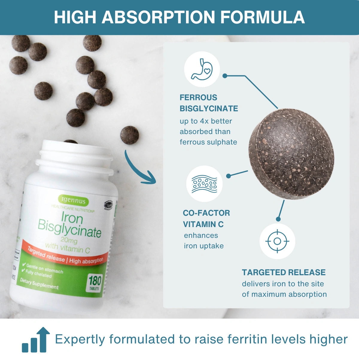 A bottle of Ipennus Iron Bisglycinate dietary supplement alongside loose dark brown absorption capsules on a light marble surface, with informational callout graphics and text about high absorption benefits.