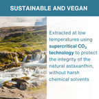 Promotional graphic with the headline 'SUSTAINABLE AND VEGAN' above a split landscape photo and text panel. The left side shows a mountain stream and small waterfall in a green valley.