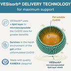 An infographic explaining VESIsorb delivery technology for CoQ10 support, featuring a 3D illustration of a microencapsulated CoQ10 particle with a teal lipid layer and orange core, accompanied by explanatory text and a KANEKA logo.