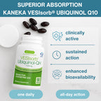 A bottle of Kaneka VesiSorb Ubiquinol-Q10 dietary supplement with several dark capsules beside it, on a light marble-like background. The image includes marketing text and icons about superior absorption, clinically active, sustained action, and enhanced bioavailability.
