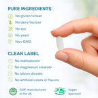 A hand holds a white oval supplement tablet against a soft light background, with text listing pure ingredients and clean label claims such as no gluten, no dairy/lactose, no soy, no yeast, non-GMO, and no maltodextrin or magnesium stearate.
