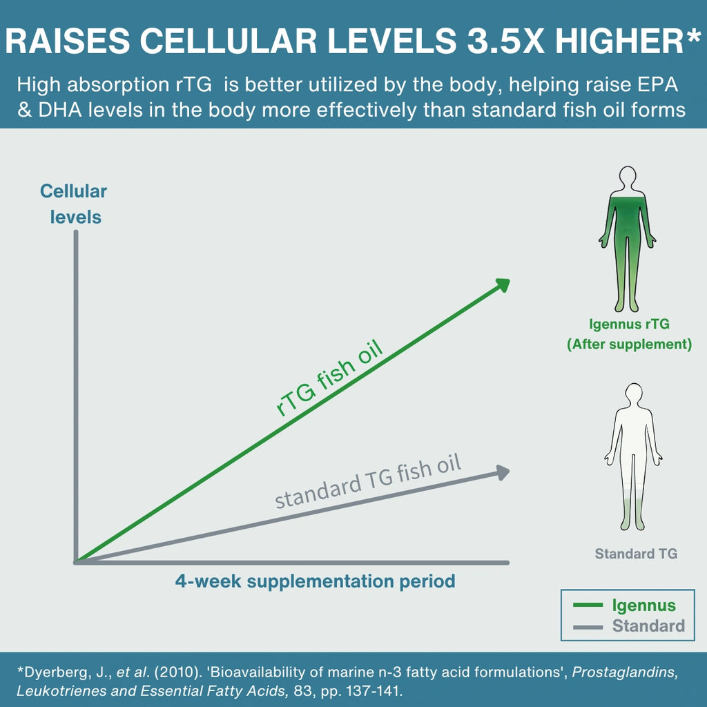 A comparison infographic for rTG fish oil versus standard TG fish oil, showing a line graph with cellular levels over a 4-week supplementation period and body silhouette diagrams labeled Igennus rTG (after supplement) and Standard TG.