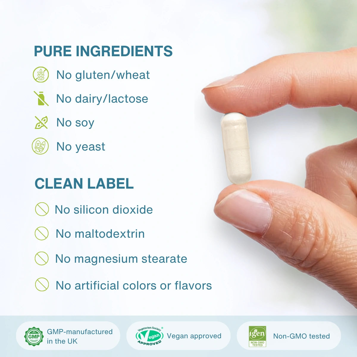 A hand holds a single off-white capsule pill against a clean white background with text listing pure ingredients and clean label claims, plus GMP, vegan approved, and non-GMO badges at the bottom.