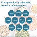 An infographic titled '10 enzymes for carbohydrate, protein & fat breakdown*' with teal circular labels listing enzyme names such as Lipase, Protease 3.0, Amylase, Lactase, Cellulase, Protease 4.