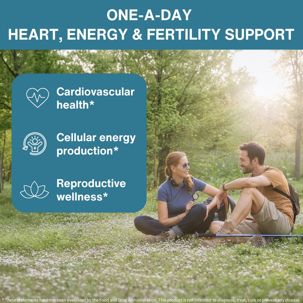 Promotional graphic with the headline 'ONE-A-DAY HEART, ENERGY & FERTILITY SUPPORT' over a lifestyle photo of a smiling couple sitting on grass in a sunlit park. A teal callout box lists benefits: cardiovascular health, cellular energy production, and reproductive wellness.