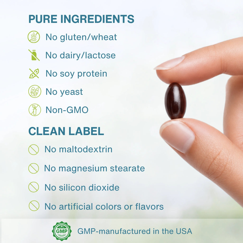A hand holds a single dark brown oval supplement capsule against a soft white background with text listing pure ingredients and clean label benefits, including no gluten, wheat, dairy, lactose, soy protein, yeast, GMO, maltodextrin, magnesium stearate, silicon dioxide, and artificial colors or flavors.