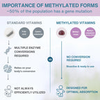 An infographic comparing standard vitamins and methylated vitamins, with text stating 'IMPORTANCE OF METHYLATED FORMS ~50% OF THE POPULATION HAS A GENE MUTATION'. It shows icons and labels for folic acid, cyano-b Cobalamin, methyl-folate, and methyl-cobalamine (active B12) under headings 'STANDARD VITAMINS' and 'METHYLATED VITAMINS' with explanatory callouts about enzyme conversion and bioavailability.