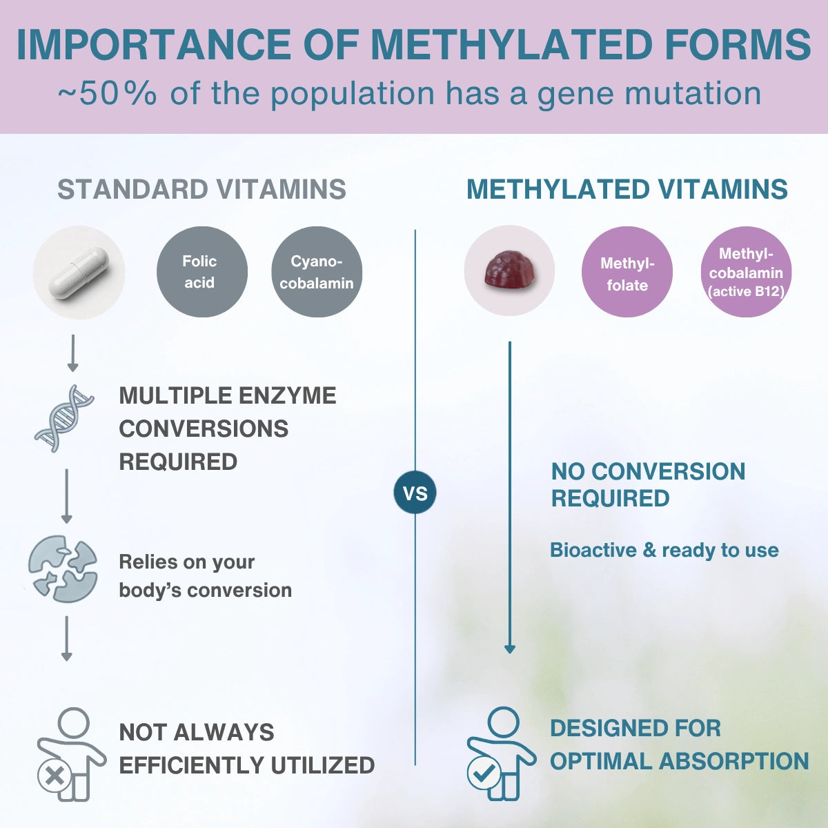 An infographic comparing standard vitamins and methylated vitamins, with text stating 'IMPORTANCE OF METHYLATED FORMS ~50% OF THE POPULATION HAS A GENE MUTATION'. It shows icons and labels for folic acid, cyano-b Cobalamin, methyl-folate, and methyl-cobalamine (active B12) under headings 'STANDARD VITAMINS' and 'METHYLATED VITAMINS' with explanatory callouts about enzyme conversion and bioavailability.