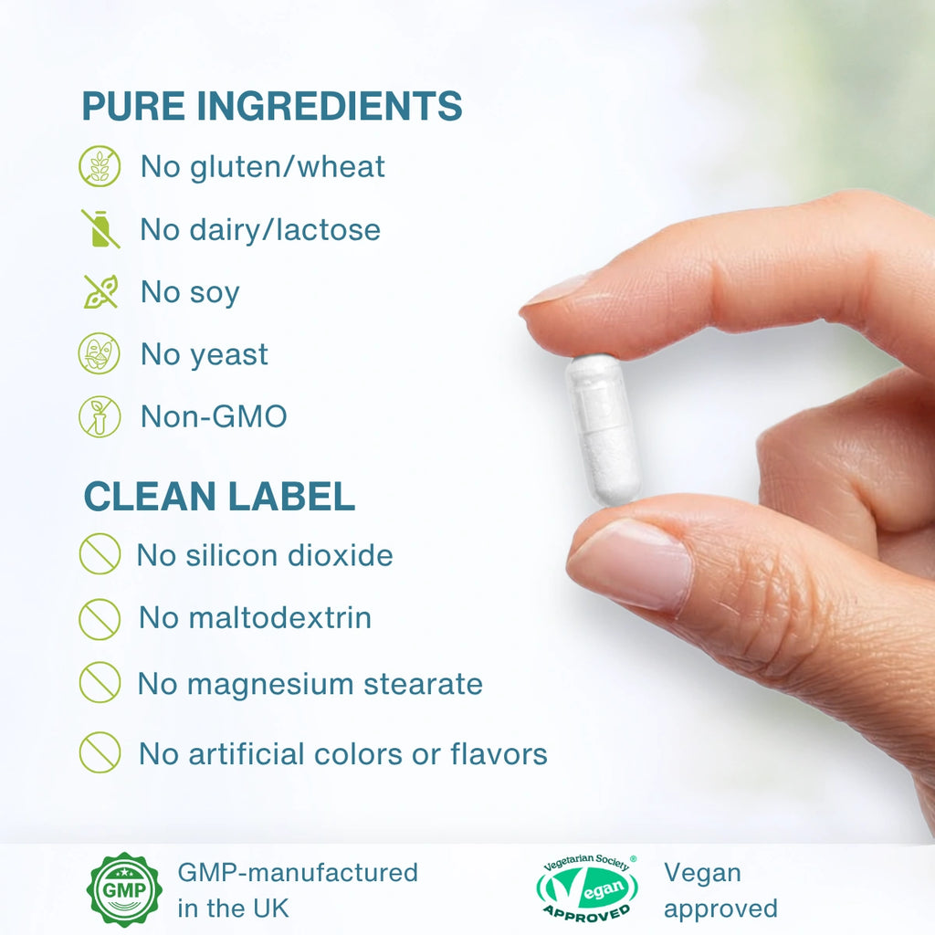 A hand holds a single white capsule pill against a clean white background with text listing pure ingredients and clean label claims, plus GMP and vegan approved badges at the bottom.