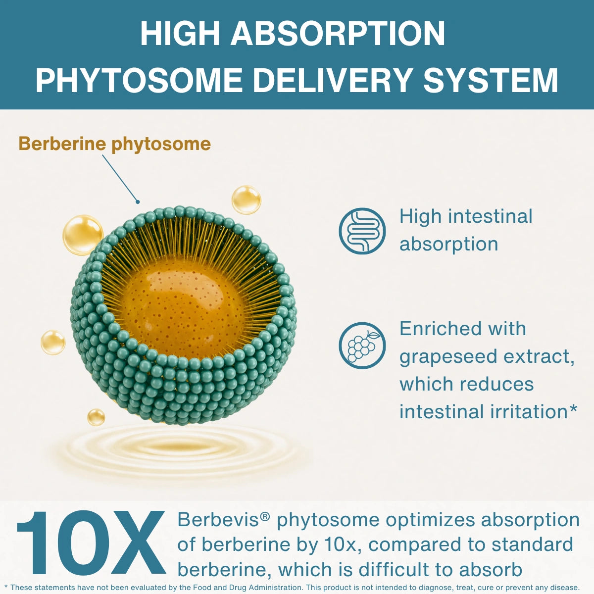Promotional infographic for a berberine phytosome delivery system, showing a 3D spherical capsule labeled 'Berberine phytosome' with teal outer coating and golden interior. Text highlights high intestinal absorption, grapeseed extract enrichment, and 10x absorption improvement compared to standard berberine.