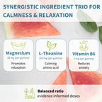 Mg + L-Theanine + B6/The synergistic trio for calm focus & sleep