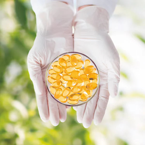 Yellow capsules in a petri dish held by gloved hands against a blurred green background