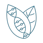 Outline of a fish with a leaf pattern on a white background