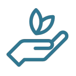 Blue icon of a hand holding a leaf